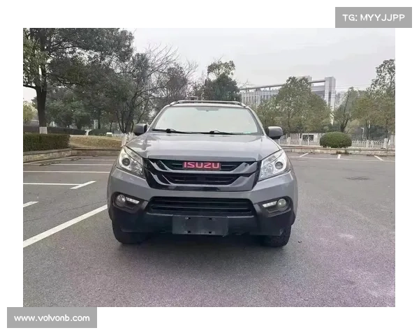 上山又能下河的几款柴油硬派越野车 上山又能下河的几款柴油硬派越野车