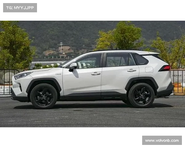 全新RAV4荣放正式上市,17.48万元起售 全新RAV4荣放正式上市,17.48万元起售