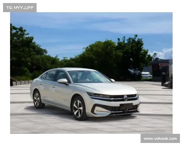 全新一代迈腾仿佛感受到了我的危险 全新一代迈腾仿佛感受到了我的危险